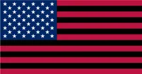 The Disgraced Flag of the United States of America