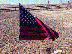 Disgraced Flag from Printify flying in a stiff breeze