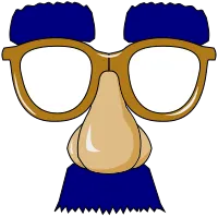 Disguise