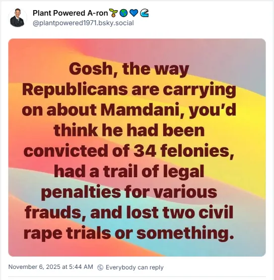 Gosh, the way Republicans are carrying on about Mamdani, you'd think he had been convicted of 34 felonies, had a trail of legal penalties for various frauds, and lost two civil rape trials or something.